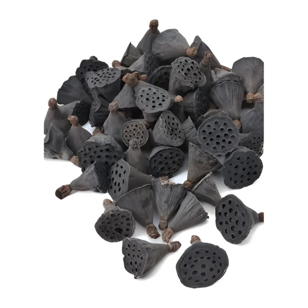 Lotus Mini PO13: small dried lotus seed heads in a dark charcoal tone