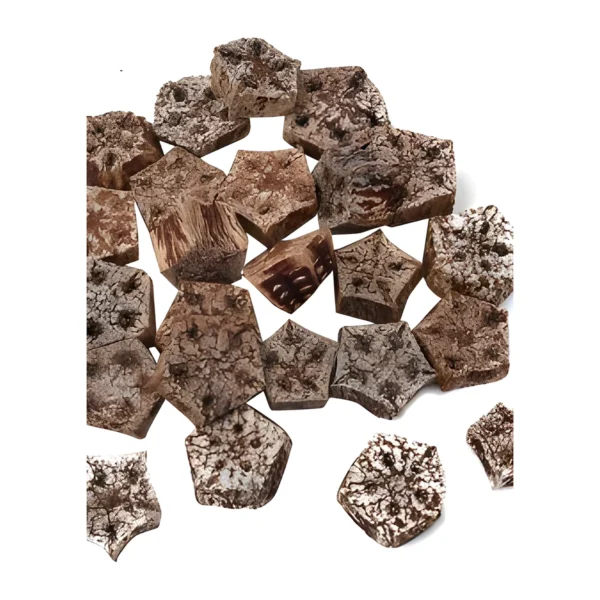 Mahogany Slice PO15: a naturally dried, star-shaped cross-section cut from the woody core of the mahogany pod