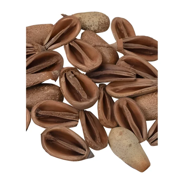 Mike Petal PO17: naturally dried, split seed-pod halves shaped like open ovals