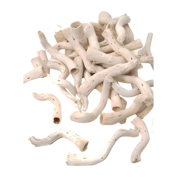 Pepe Cone PO19: dried, curved woody tubes with pitted surfaces and hollow ends, shown in a pale bleached-white tone
