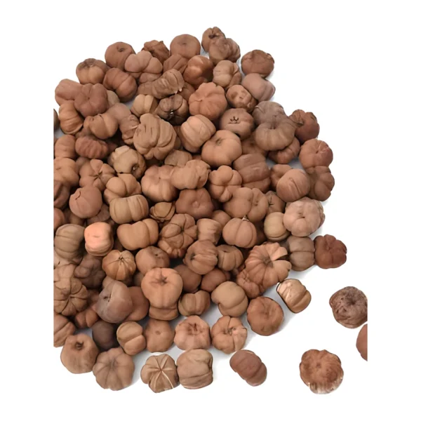 Putka Pod PO20: a small, naturally dried seed pod
