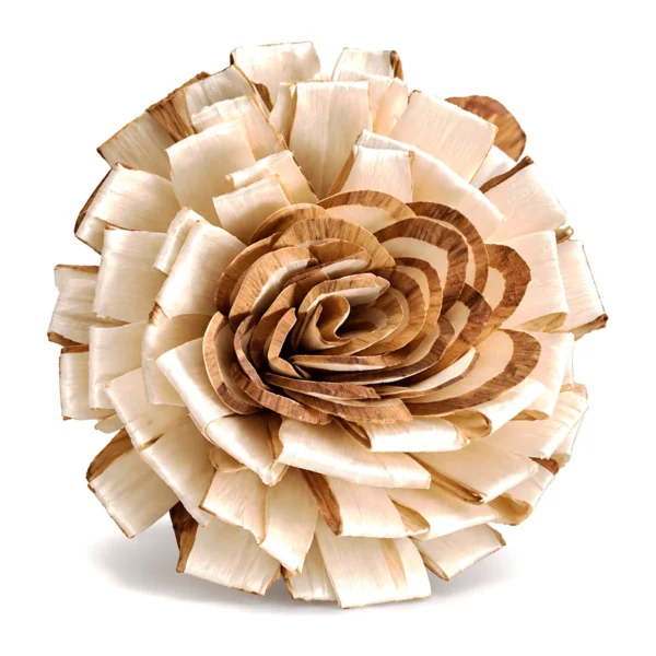 Sola Kadom Center Brown SO08: a ruff of square-cut ivory sola petals with a coiled, brown-edged rose centre