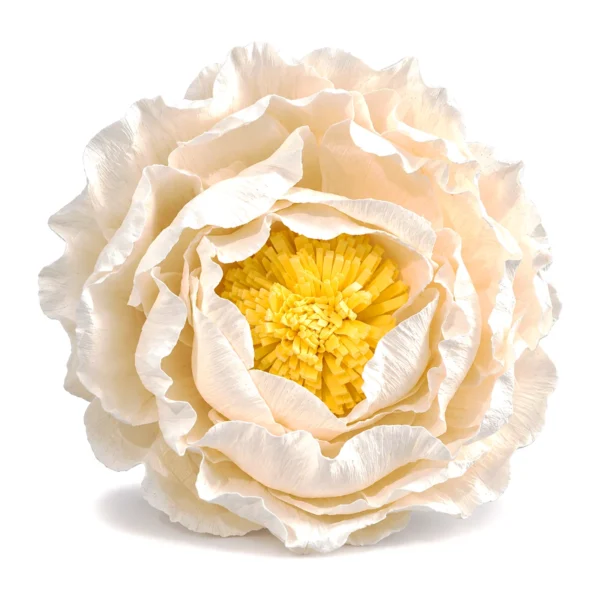 Sola Cabbage Flower SO09: a large, peony-like sola bloom with ruffled, cupped ivory petals around a fringed yellow centre