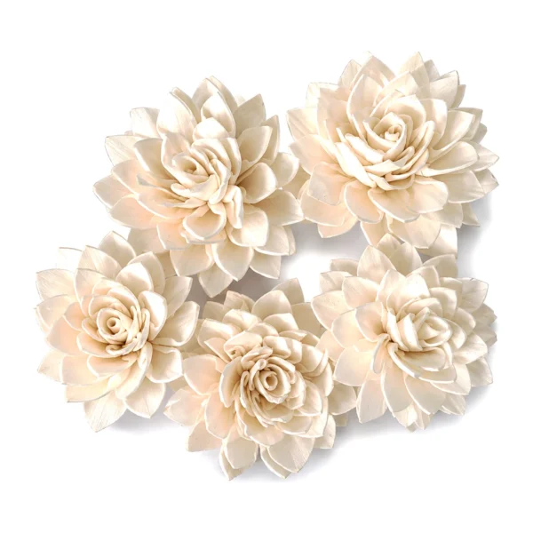 Sola Dalia SO11: a natural ivory sola dahlia