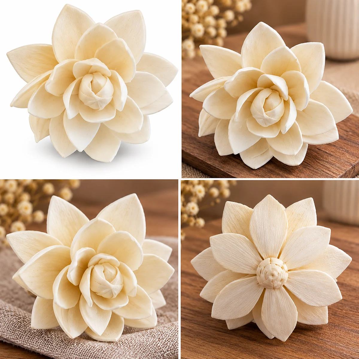 Sola Lotus – Broad Petal SO13: an ivory sola lotus with broad, almond-shaped pointed petals – view 2