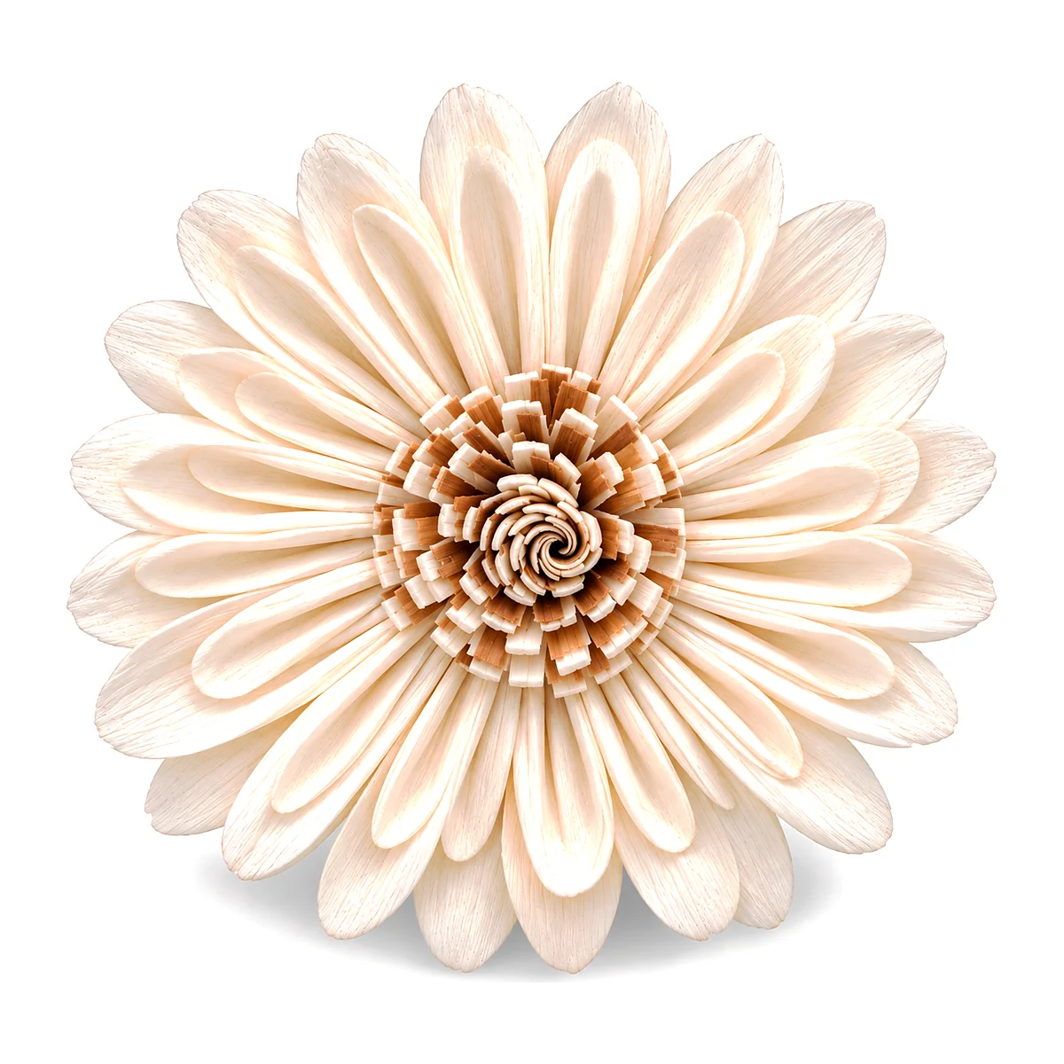 Sola Juin Flower SO14: a daisy-style sola bloom with a double ring