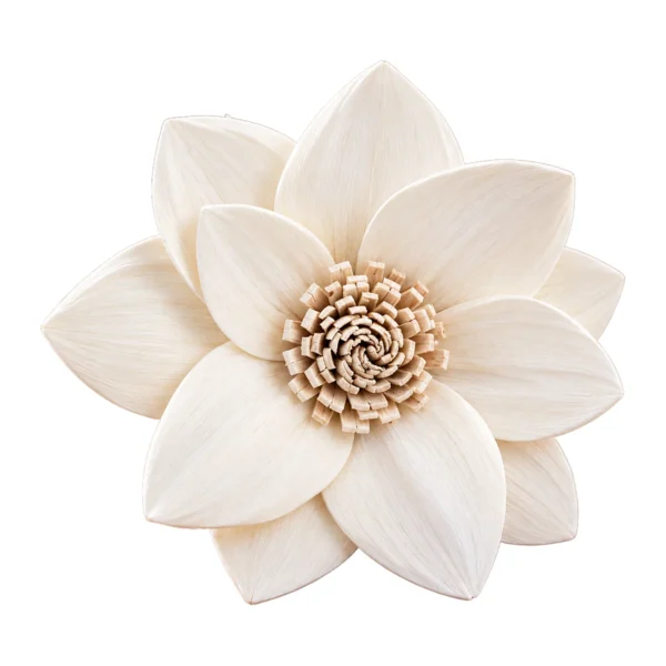 Sola Ginia SO17: a star-shaped sola flower with broad, pointed ivory petals