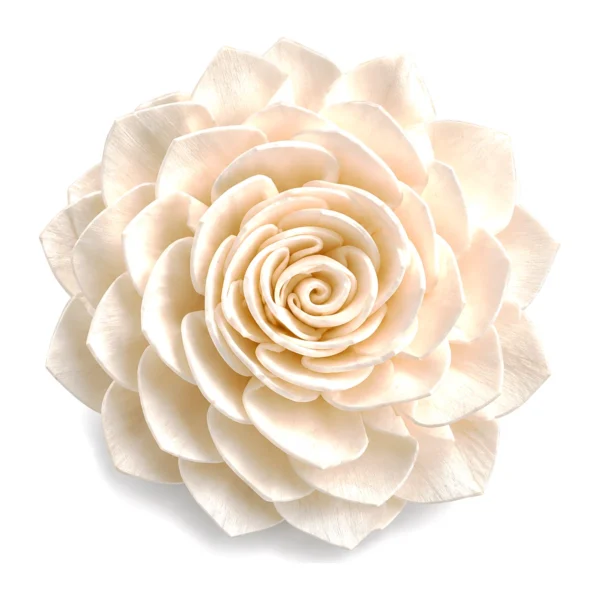 Sola Flowers