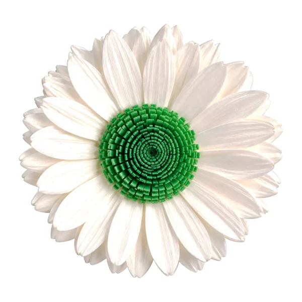 Sola Flower (Middle Green) SO27: a white gerbera-style sola daisy with layered slender petals