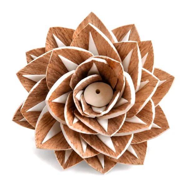 Sola Lotus (Brown Patch) SO29: a many-layered sola lotus