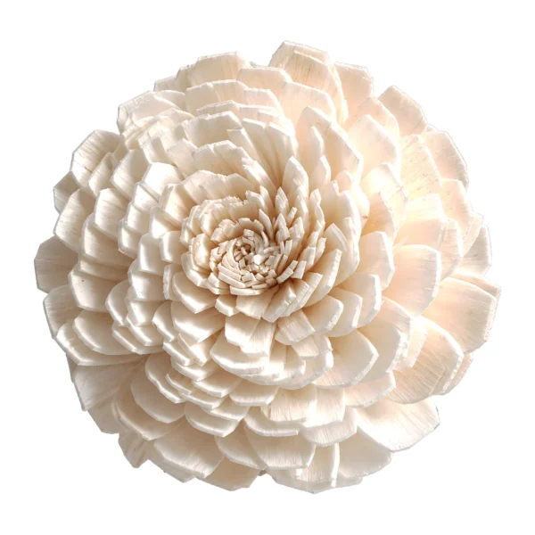 Sola Marigold SO30: a densely layered, domed sola marigold built from many small square-tipped ivory petals