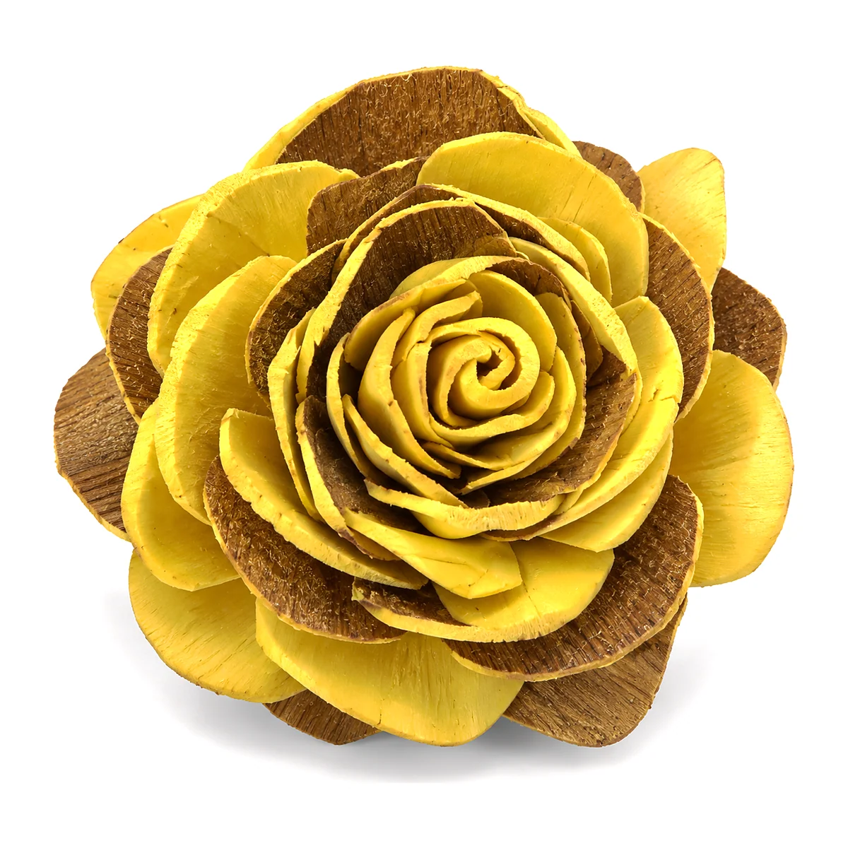 Yellow Sola Rose SO31: a sunny yellow-dyed sola rose