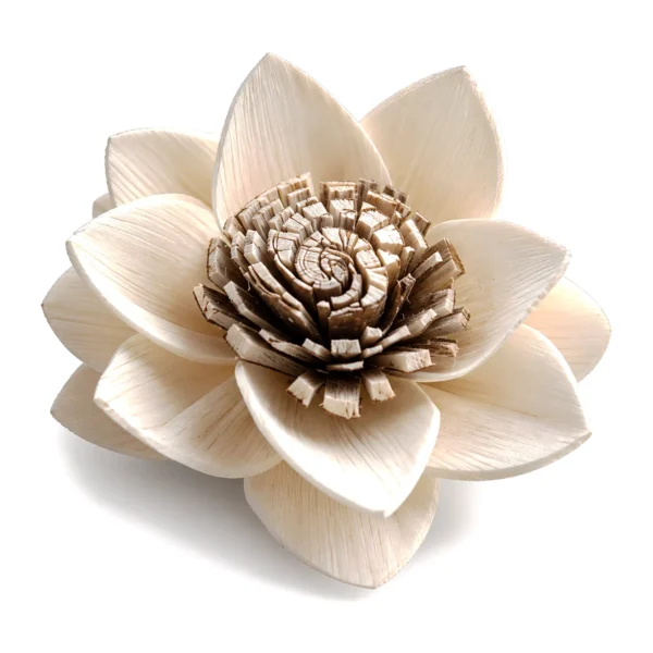 Sola Lotus – Skin-Edged Centre SO32: handmade sola lotus with tiers of pointed ivory petals around a spiral-cut centre