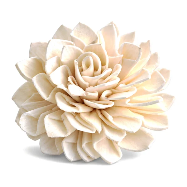 Sola Dahlia Rose SO34: full, dome-shaped sola flower in a dahlia-rose form