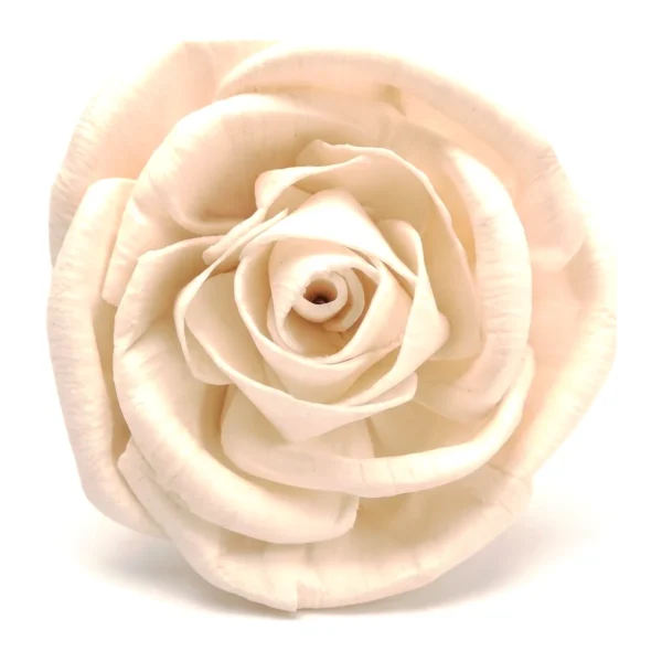 Sola AD Rose SO38: a large, full-bodied ivory rose with broad rolled petals, finely ridged edges and a tightly wound centre