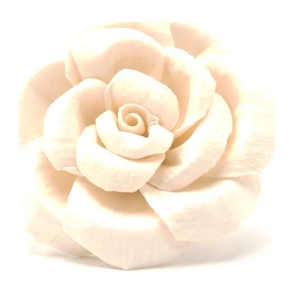 Sola Open Rose SO39 with wide, smooth ivory petals spread fully open around a small curled bud