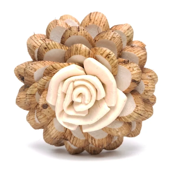 Sola Heavy Rose SO40: a dense, rounded bloom