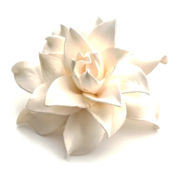 Sola Lotus – Curled Tips SO41: all-ivory sola lotus with slender, pointed petals