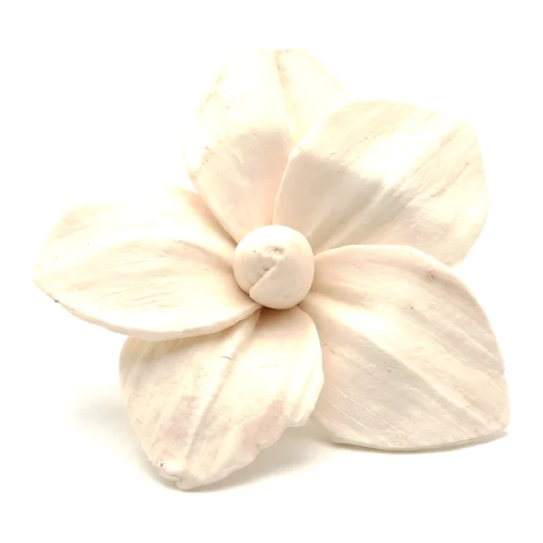 Sola Mini Lotus SO48: a small, open flower of broad, softly pointed ivory petals set around a round, rolled bud centre