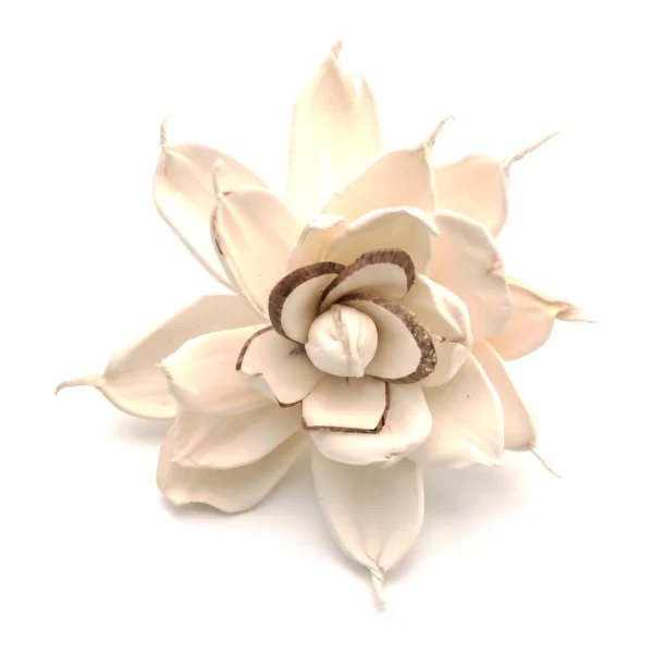 Sola Flower SO49: a handmade, star-like ivory bloom with sharply pointed petals drawn into fine, curling tips