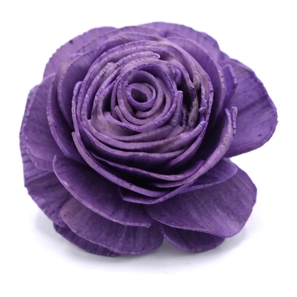 Purple Sola Rose SO50: deep purple dyed sola rose with dense, concentric petals wound tightly to a spiral centre