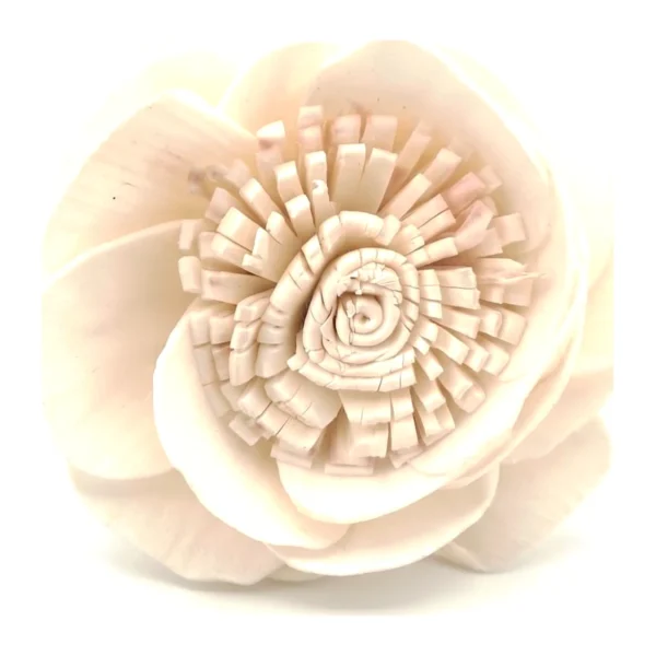 Sola Center Cutting SO51: a handmade, broad-petalled ivory flower with a large fringed centre
