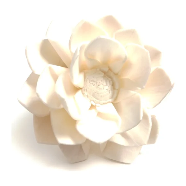 Sola Center Kadom Dalia SO56: an all-ivory dahlia of broad, pointed petals