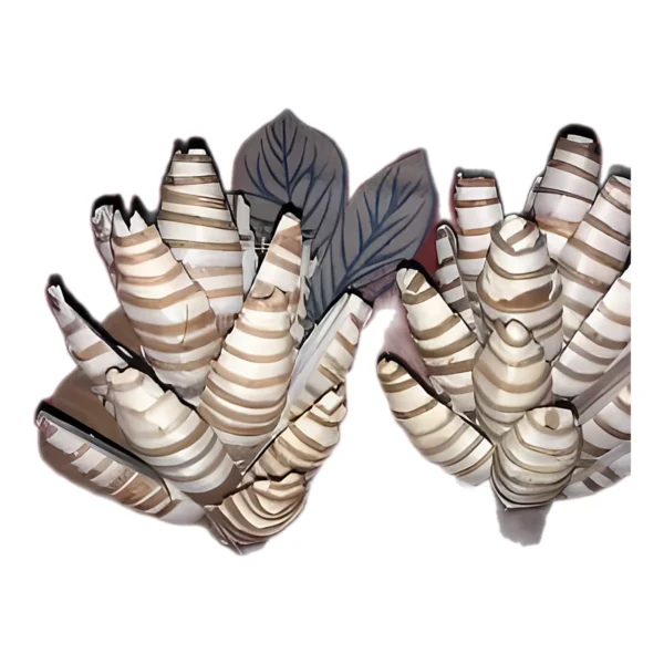 Sola Mocha SO58: handmade, tapering cone-shaped sola pieces wrapped in spiral bands of natural brown skin