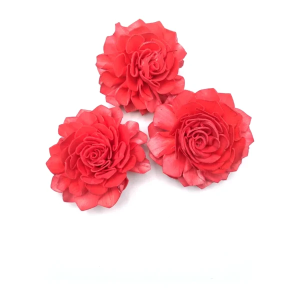 Red Sola Dalia SO60 in vivid coral-red dye: a ruffled, many-petalled dahlia