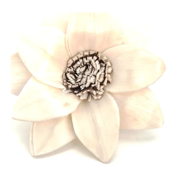 Sola Lotus Type SO62: a wide, open handmade lotus of long, broad lance-shaped ivory petals spread open