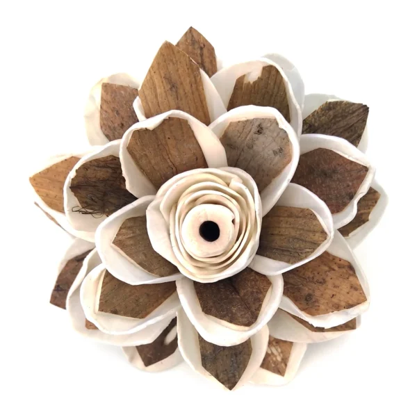 Sola Skin Water Lily SO64: layered Sola Skin Water Lily with pointed petals carrying the natural brown outer skin
