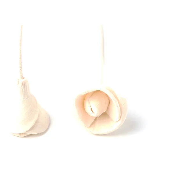 Sola Bud Rose SO85: a small, closed rosebud of wrapped ivory sola petals around a rounded bud