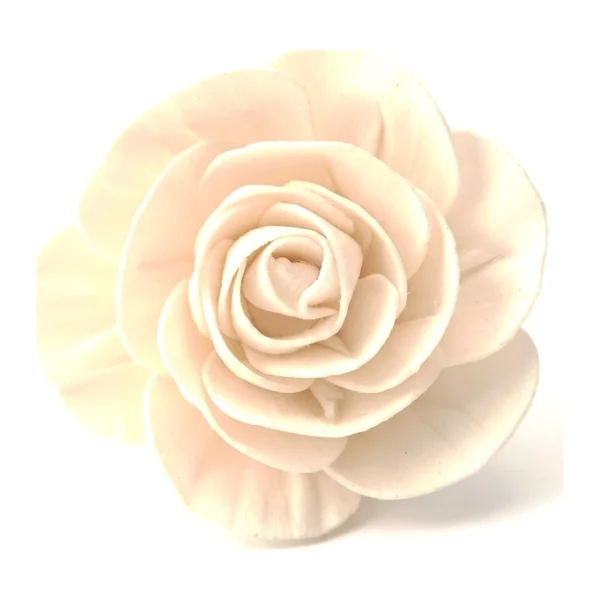Sola Wood Rose SO86 in natural ivory: an open, softly ruffled sola rose