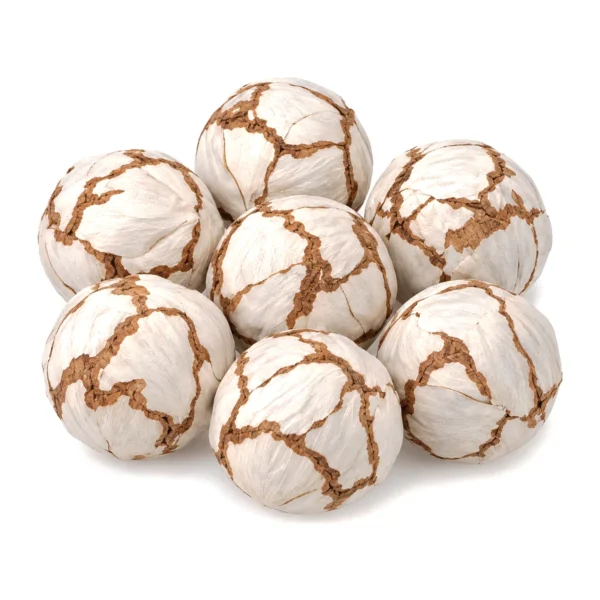 Sola Cabbage Ball SO91 wrapped in broad white sola sheets like layered cabbage leaves
